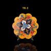 TR-3