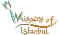 Logo-2